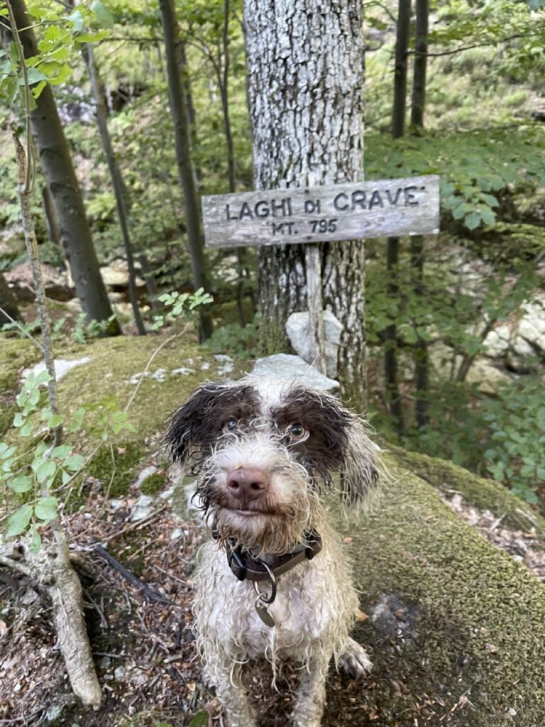 Cravè Laghetti per Cani Liguria Calizzano Val Bormida_9